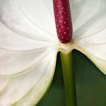 Pam Grafstein - @pamgrafstein - Instagram