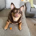 Pam Gray - Facebook