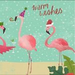 Pam Halter - @phalter - Instagram