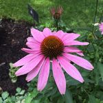 Pam Winterhalter - @winterhalterpam - Instagram