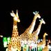 Pamela Halter - Facebook
