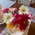 Pam Haney - @psphaney - Instagram