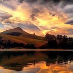 Pam Harley - @pam6766 - Instagram