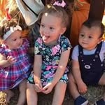 Pam Harper - @pam.harper - Instagram