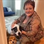 Pam Harper - @noahveryhappy - Instagram