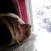 Pamela Harwell - Facebook