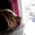 Pamela Harwell - @pam_harwell76 - Instagram