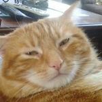 Pam Haskin - @pamhaskin - Instagram