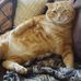 Pam Haskin - Facebook