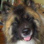Pam Healey - @ph4thefun - Instagram