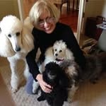 Pam Elliott Henry - @pamhenryrealtor - Instagram
