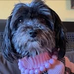 Pam Herrera - @pam4k - Instagram
