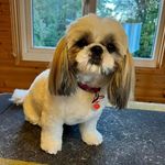 Pam Higham - @higham.pam - Instagram