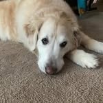 Pam Holmes - @pamholmes2024 - Instagram