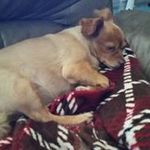 Pam Holtz - @holtz.pam - Instagram