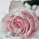 Pam Huff - Facebook