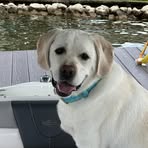 Pam Huff - Facebook