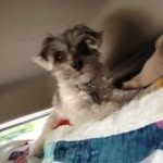 Pam - @pamhulsey - Instagram