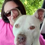 Pam Hyde - Facebook