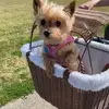 pamsimonhyde - @pamsimonhyde - TikTok