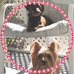 Pam Mays-Jarrell - @pjjarrell - Instagram