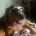 Pamela Keenan - Facebook