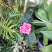 Pam Key - Facebook