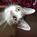 Pam Knott - Facebook