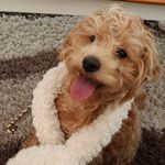 Pam Knott - @pam.knott.31 - Instagram