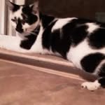 Pam koerner - @koerner_pam - Instagram