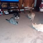 Pam Krick - Facebook