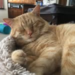 Pam Kyle - @pamkyle8153 - Instagram