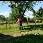 PamLadner - @countrymama729 - Instagram