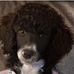 Pam Lail - Facebook