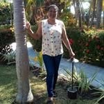 sun_flower - @pamla_marryshow - Instagram
