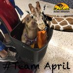 Pam Lambert - @pamlambert4678 - Instagram