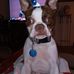 Pam Lambert - Facebook