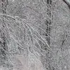 pamlambert57 - @pamlambert57 - TikTok