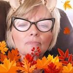 Pam Lang - @pam_lang53 - Instagram