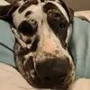 Pam Lang - @pam.lang - TikTok