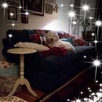 Pam Lang - @pam.lang.714 - Instagram