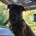 Pam Langlois - Facebook