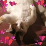Pamela Jeansonne Langlois - @pamelajeansonnelanglois - Instagram