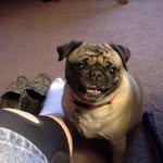 Pam Lanham - @lanham.pam - Instagram