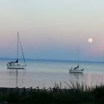 Pam Lantz Steffens - @pssteffens - Instagram
