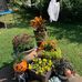 Pam Massey LaVigne - Facebook