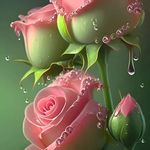 Pamela Kessell Lavigne - @mourningangel55 - Instagram