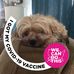 Pam Lawrence - Facebook