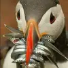 Pam Lawrence - @pam.lawrence6 - TikTok