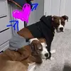 pamlawrence343 - @pamlawrence343 - TikTok